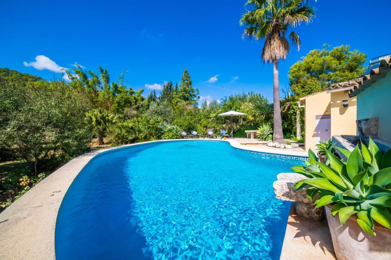 Ideal Mallorca - Patufa Casa rural