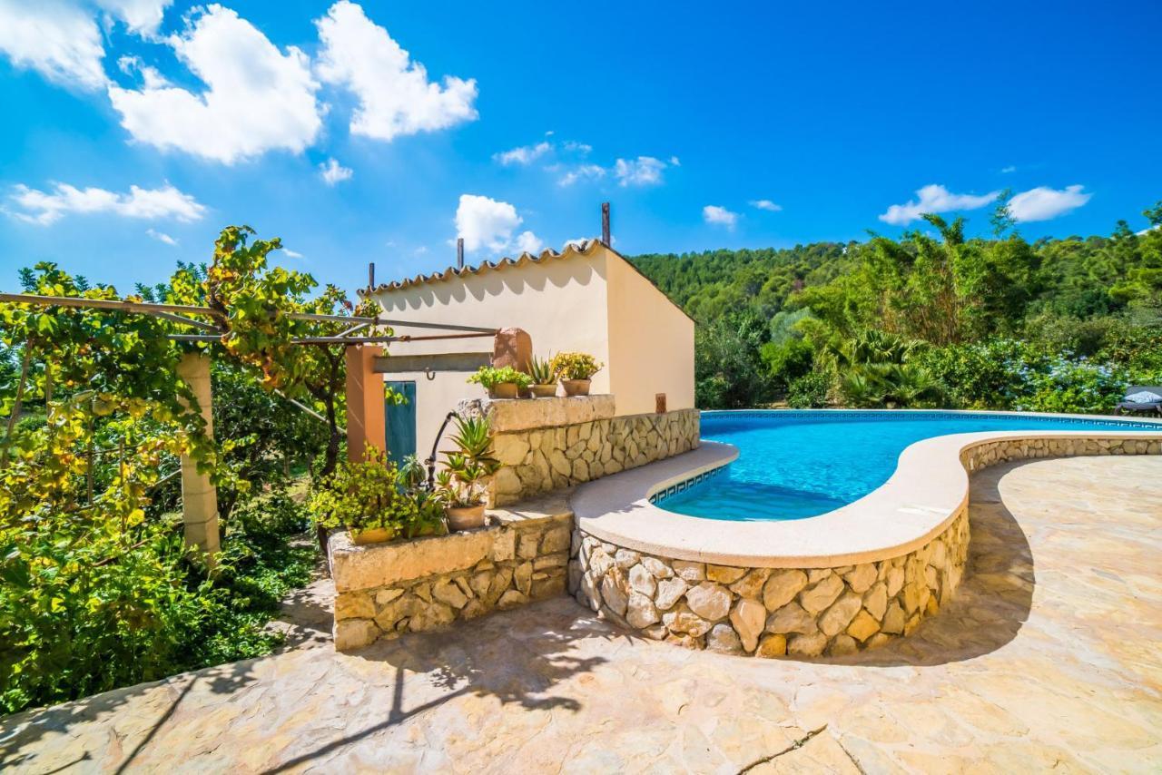 Ideal Mallorca - Patufa Casa rural
